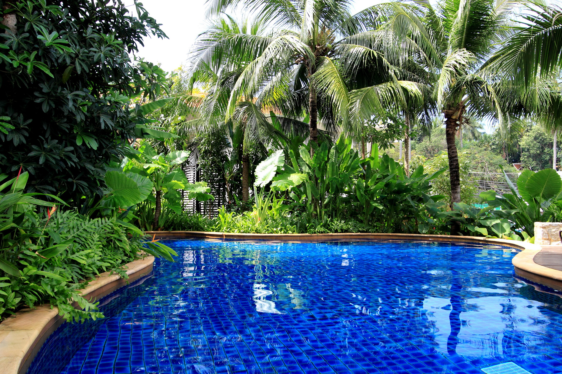 Kata Gardens Phuket<br>2 Bed gardens view